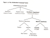 The Athabaskan Language Family
